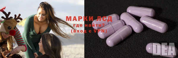 индика Арсеньев