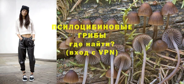молекула духа Баксан