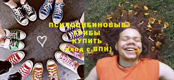 гашик Аркадак