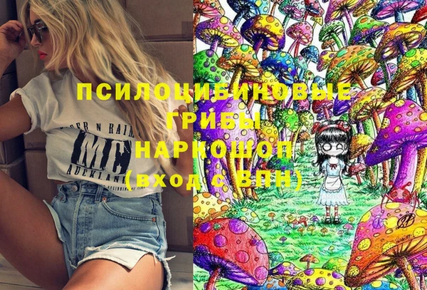 гашик Аркадак