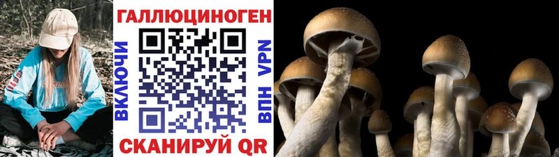 Купить  Дербент  Галлюциногенные грибы ЛСД 
